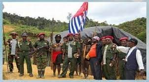 Mendukung Penetapan Organisasi Papua Merdeka Sebagai Teroris