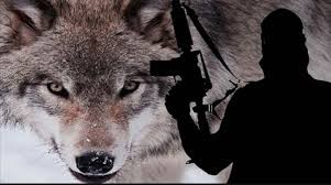 Mewaspadai Fenomena  Teror Lone Wolf di Indonesia