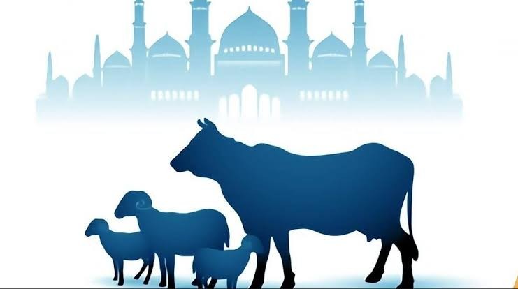 Pemerintah Optimalkan Pengawasan Hewan Ternak Menjelang Idul Adha