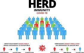 Vaksinasi Mempercepat Herd Immunity dan Efektif Menekan Penyebaran Covid-19