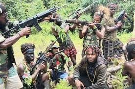 KST Papua Kelompok Teroris Keji Wajib Ditindak