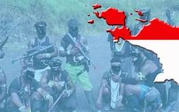 Aksi Separatis Hambat Kemajuan Papua dan Papua Barat