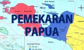 Menyukseskan Pemekaran Wilayah Papua