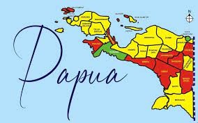 Pemekaran Papua Mempercepat Pertumbuhan Wilayah